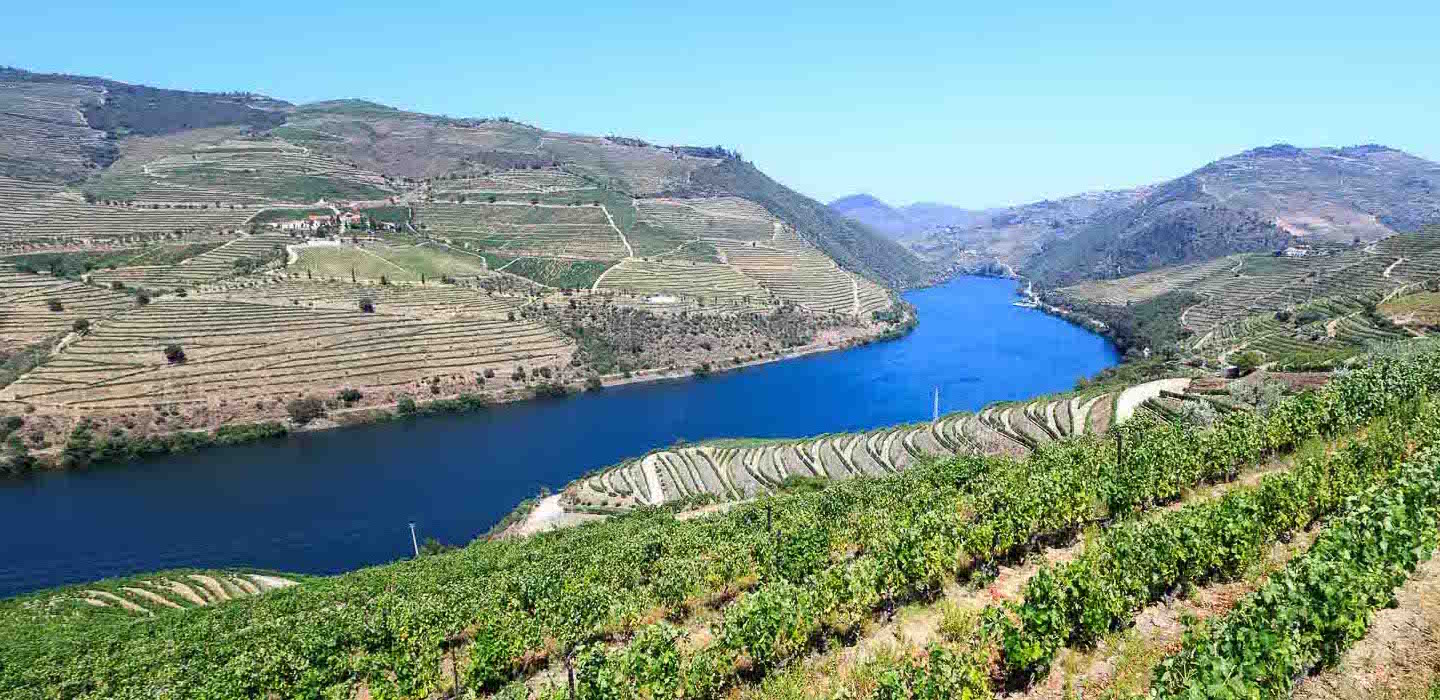 Quinta do Popa Douro vineyards