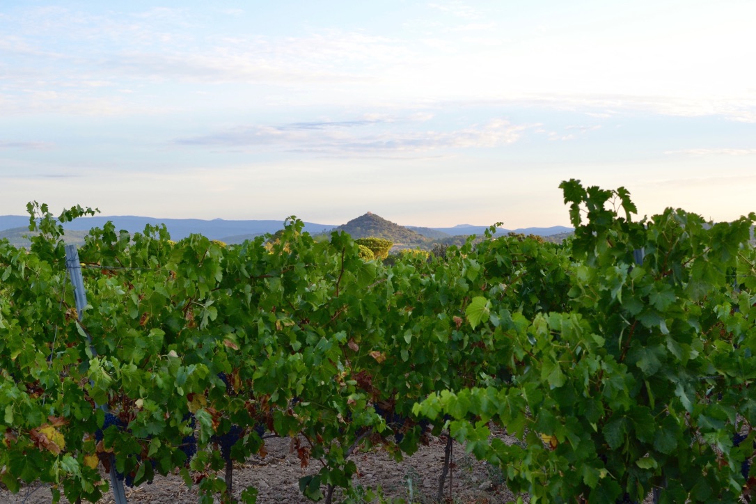 Domaine des Feraud view