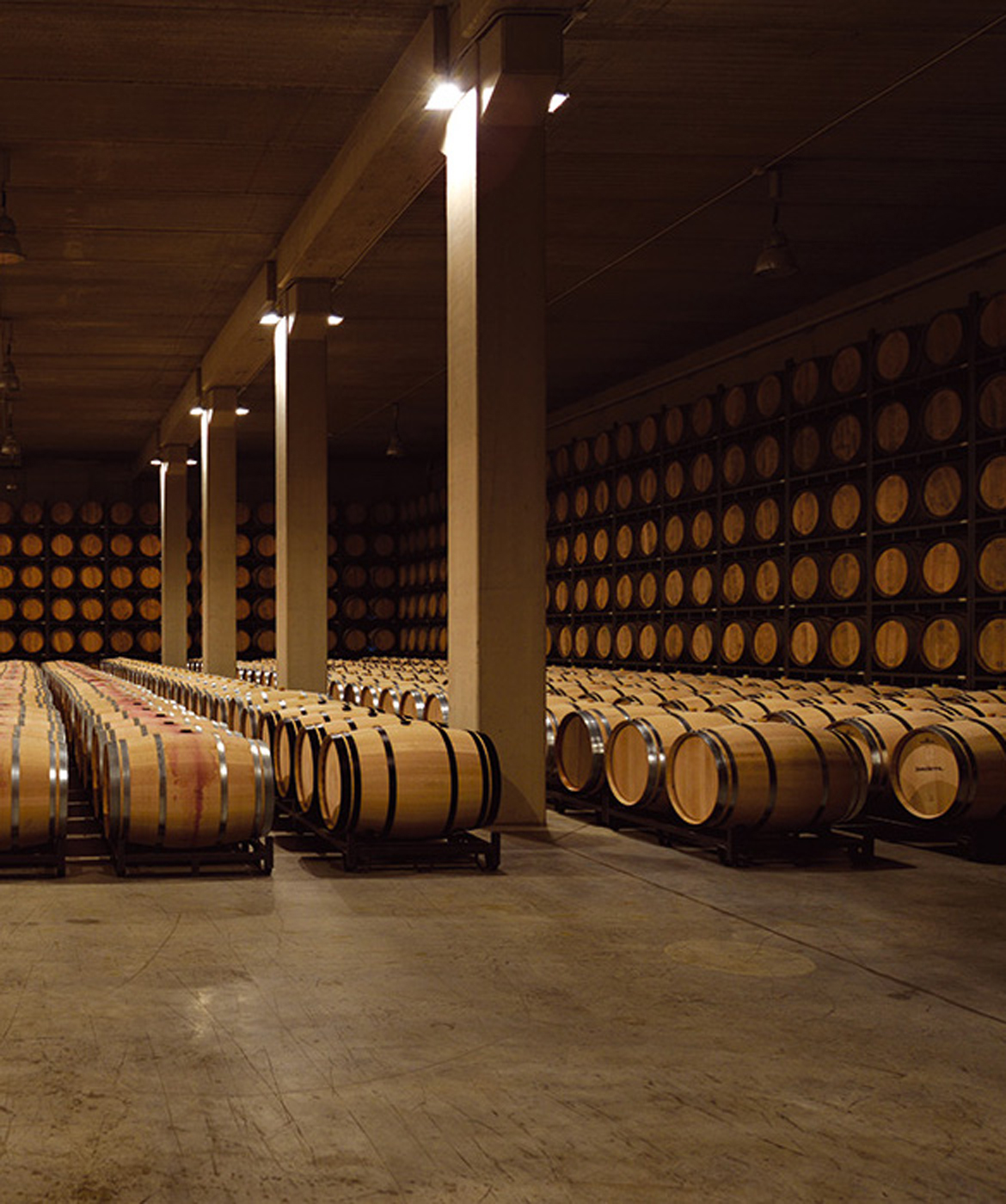 Bodega Sonsierra Cellar