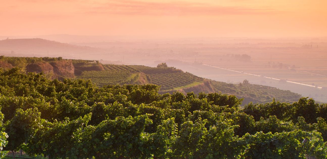 Weingut Mittelbach lage view